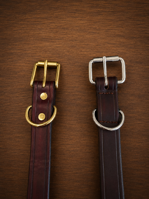 Dog Collar